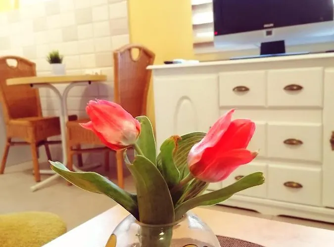 Sara ヴルドニーク