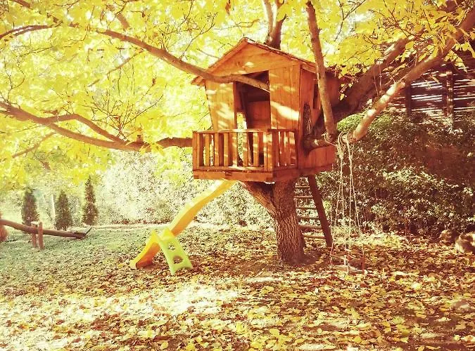 Apartament Sara Vrdnik