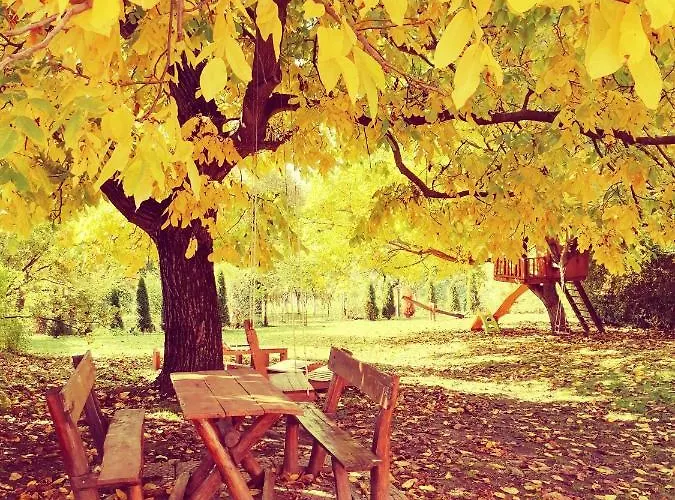 Apartament Sara Vrdnik